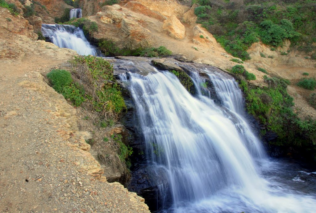 Small falls near Alamere Falls, Point Reyes National Seashore, California by Damon Tighe