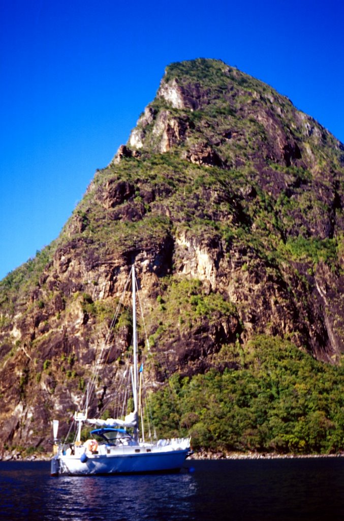 64 anahita pitons caraibi by pasquale perfetto