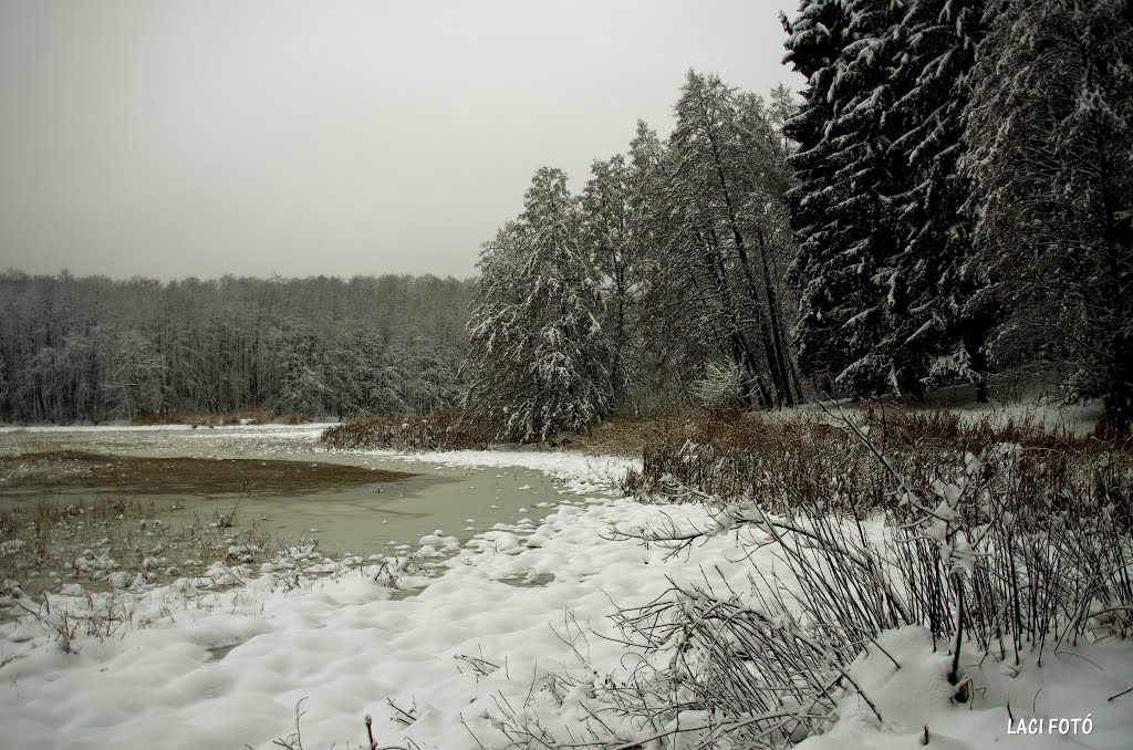 Ágneslaki Arborétum by komár lászló