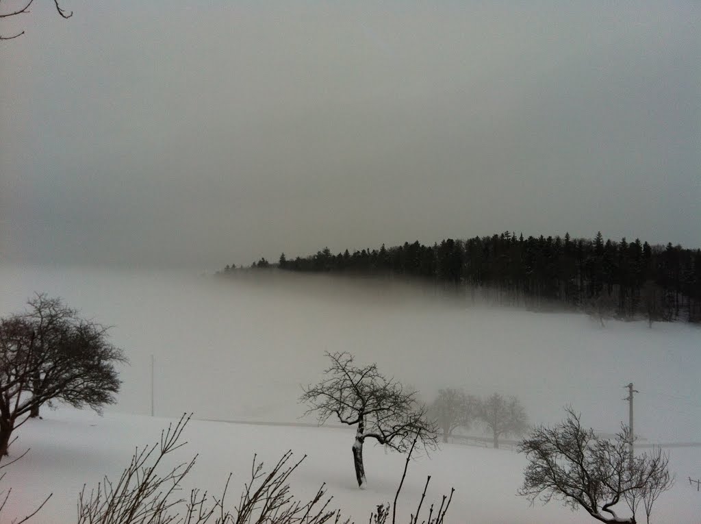 View from Allerheiligenberg direction East by Rucci