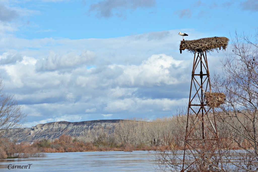 La cigüeña, vigilando el río Ebro;) **Alcalá de Ebro** by CarmenT