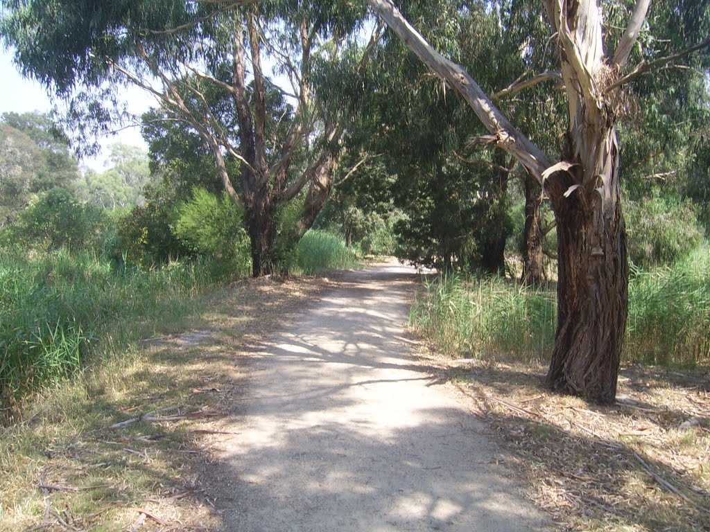 Tirhatuan Wetlands Trail by VICPhotoSurvey