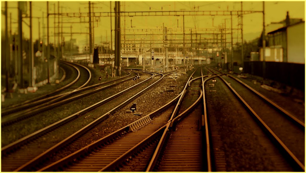 On the train 12.1.2013 tiltshift by schilf