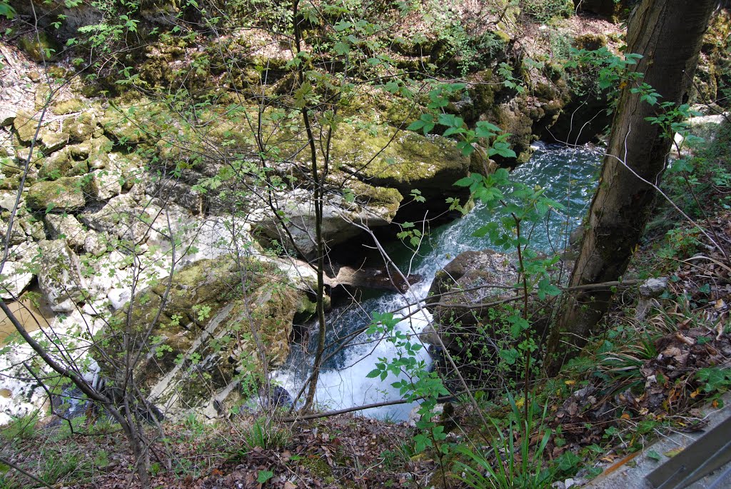 Gorges du Taubenloch, Frinvillier, Suisse by Chevrolet André (Papoudede)