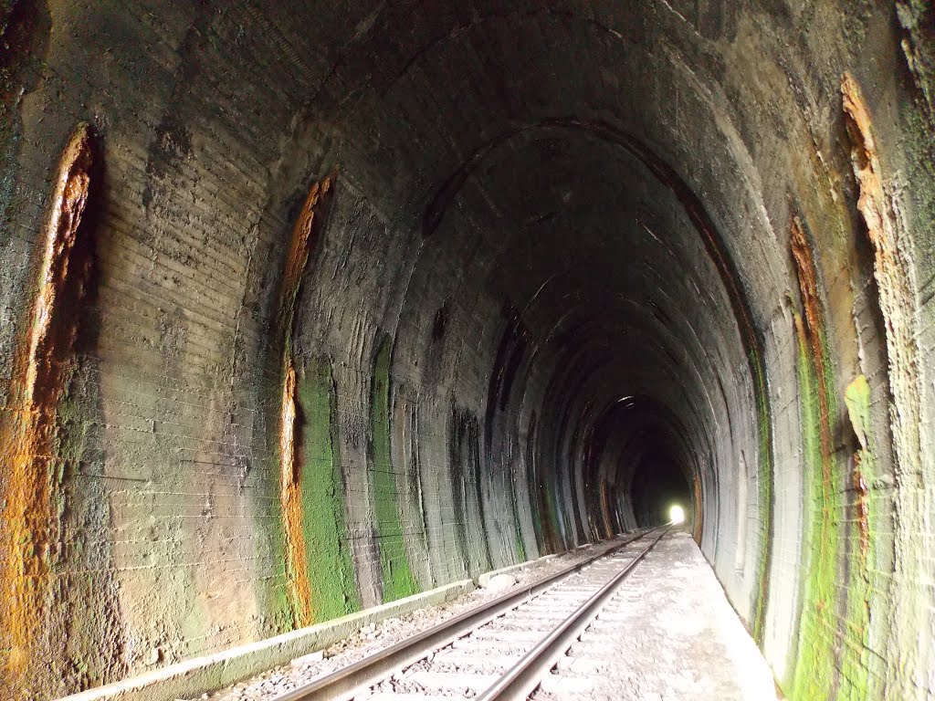 POLICROMIA EM ALTO RELEVO NA SUPERFÍCIE DA PAREDE DO TÚNEL 17 by Sidnei Recco