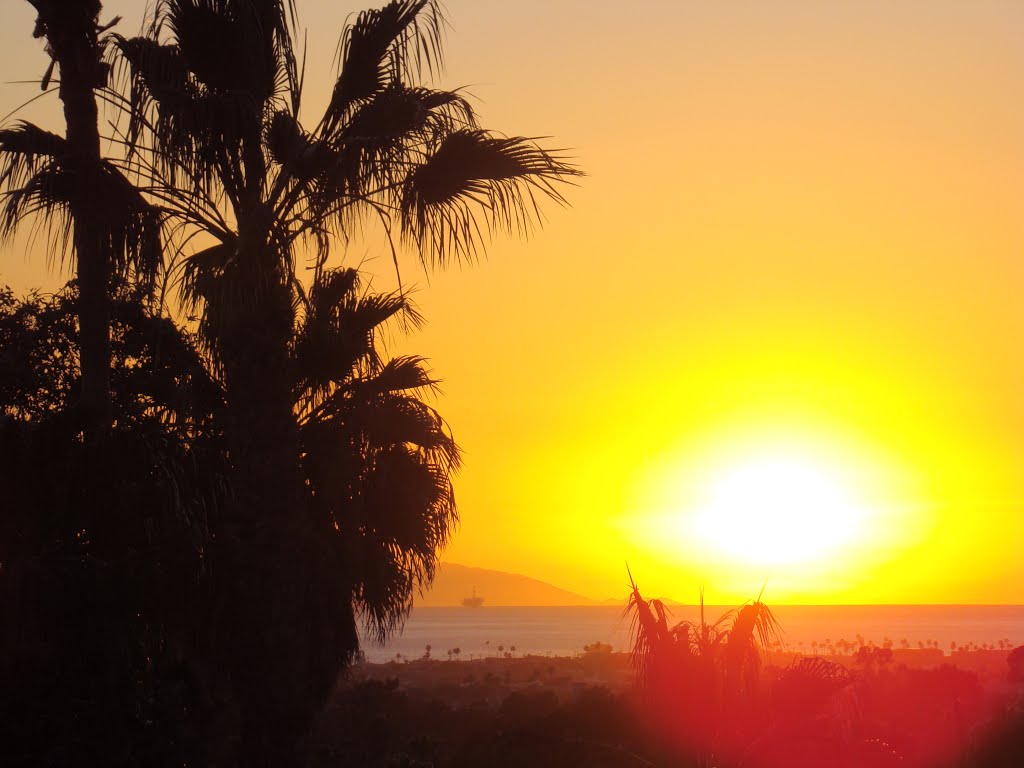 Newport Beach Sunset by Landon Owen