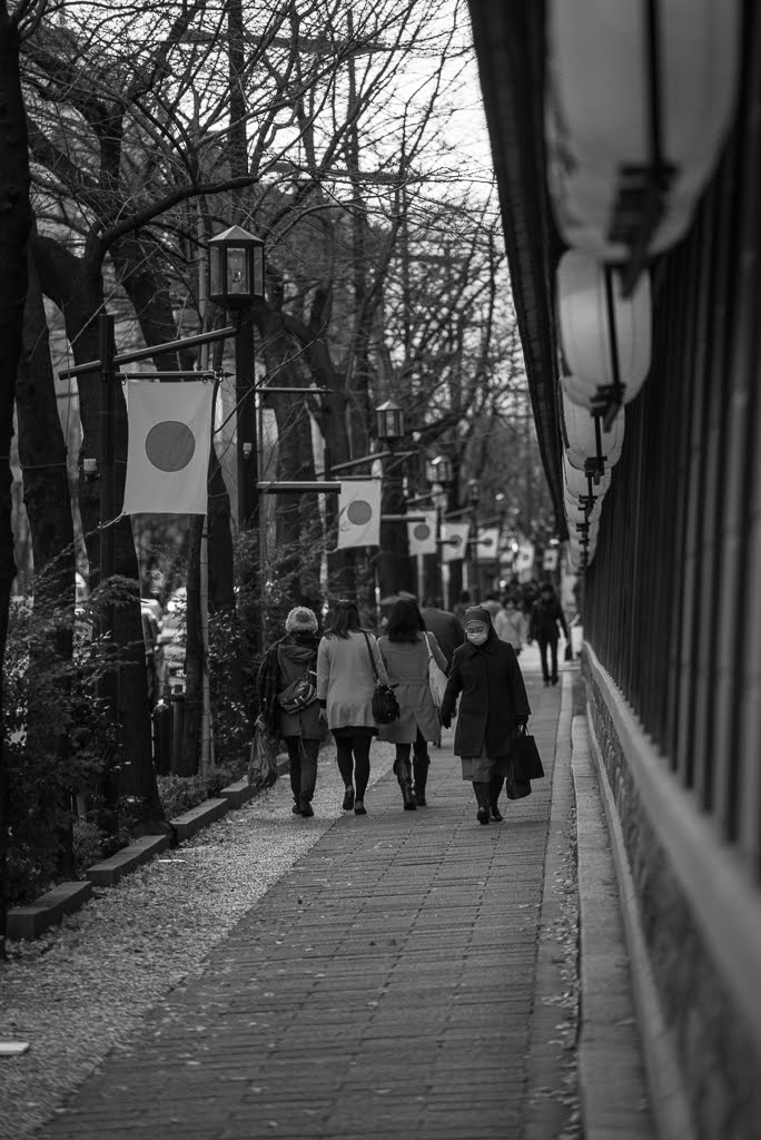 靖国神社前 by hide**