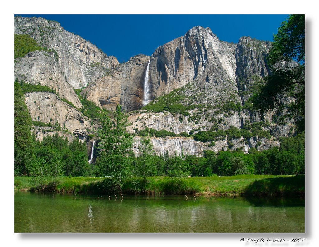 Yosemite - Postcard View by Tony Immoos