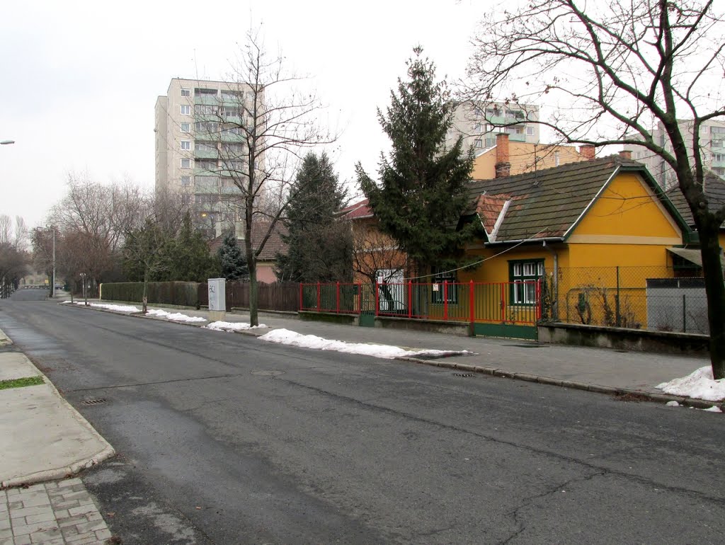 201301221532 Kelenföld, a lerombolástól megmenekült környék (Zsombor utca) by Harmadik