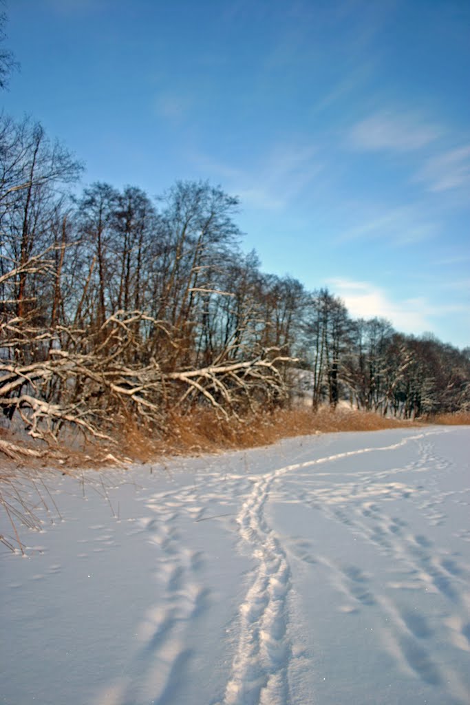 Ilgų ežeras by rimas