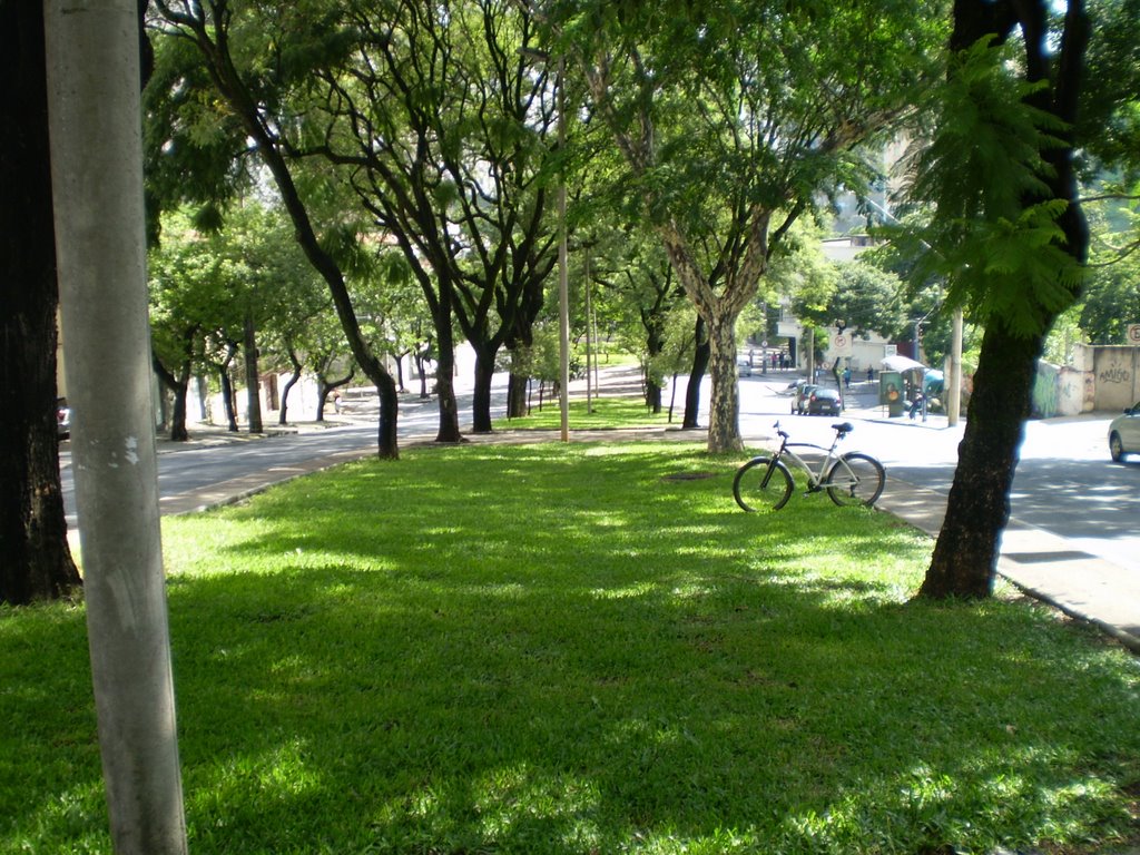 Avenida Alvares Cabral by Roberto Gloria