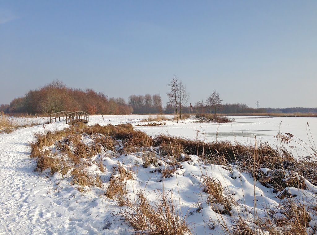 Delft 22-01-2013. Winter wonderland between Delft and Rotterdam by Aad (A.F.) Huf