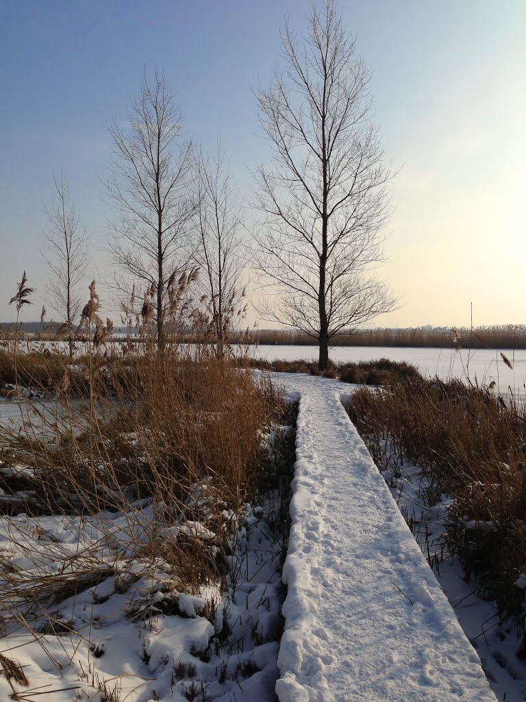 Delft 22-01-2013. Winter wonderland between Delft and Rotterdam by Aad (A.F.) Huf