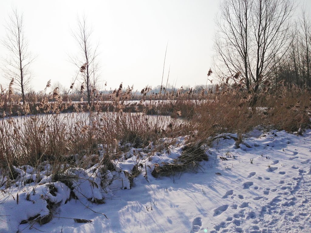 Delft 22-01-2013. Winter wonderland between Delft and Rotterdam by Aad (A.F.) Huf