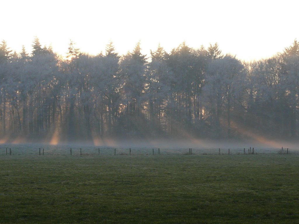 Zuidlaren, Netherlands by Dina Steendam