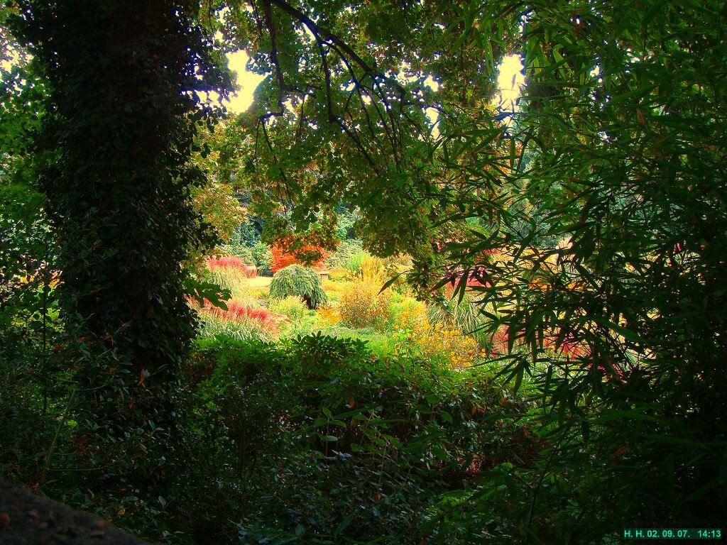 Ein Einblick in den Park der Villa Oeding. by H. Hönow