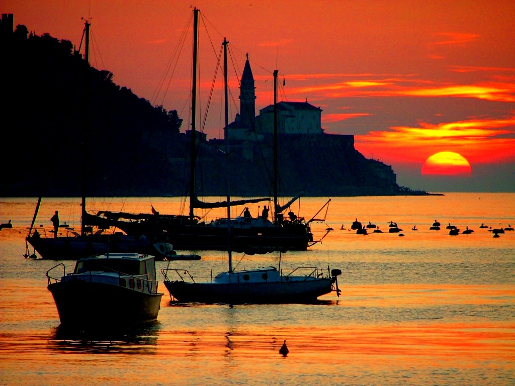 Piran,Slovenia by Török Béla