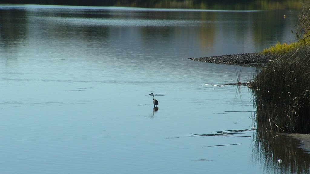 Out Fishing by C.Hansen