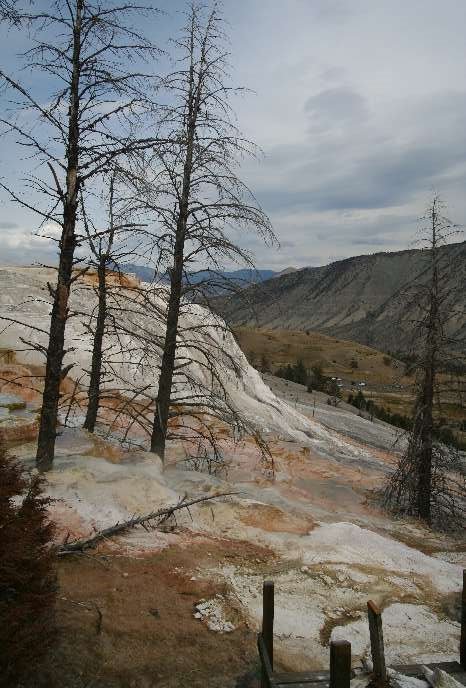 Mammoth Hot Springs - Lower Terraces Area by Frank Merfort