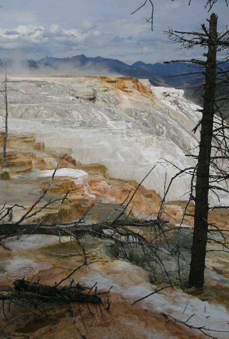 Mammoth Hot Springs - Lower Terraces Area by Frank Merfort