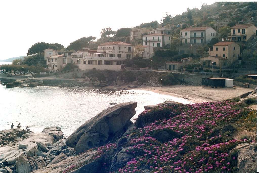 Isola d'elba by antonino Fedele