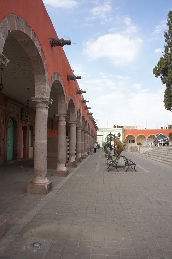 Portales Zaragoza y Guerrero by David  Linares Barocio