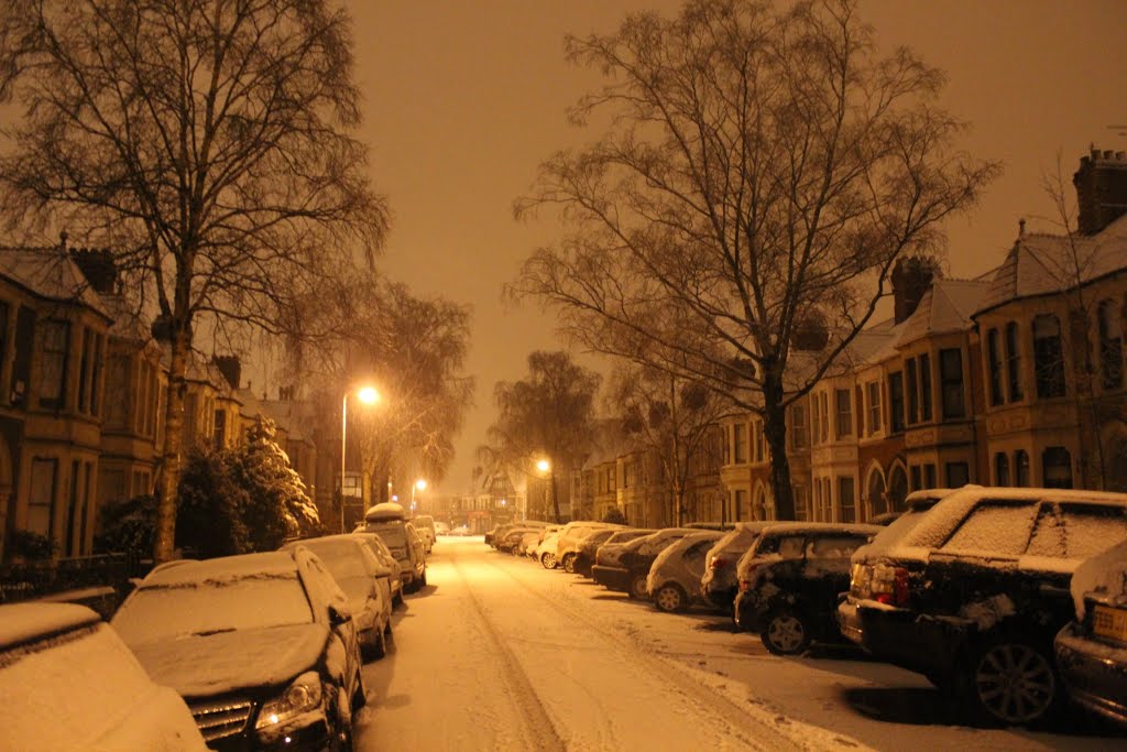 Cardiff snowfall 2013 by Graham Willetts