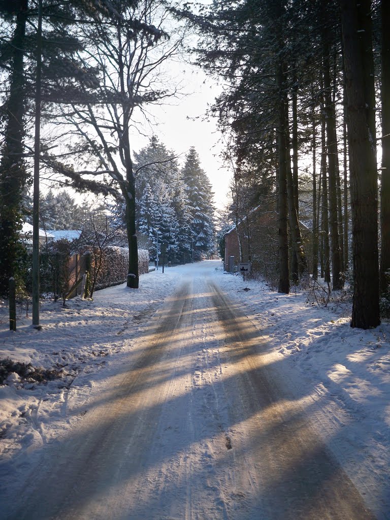 Looystraat by Wibo