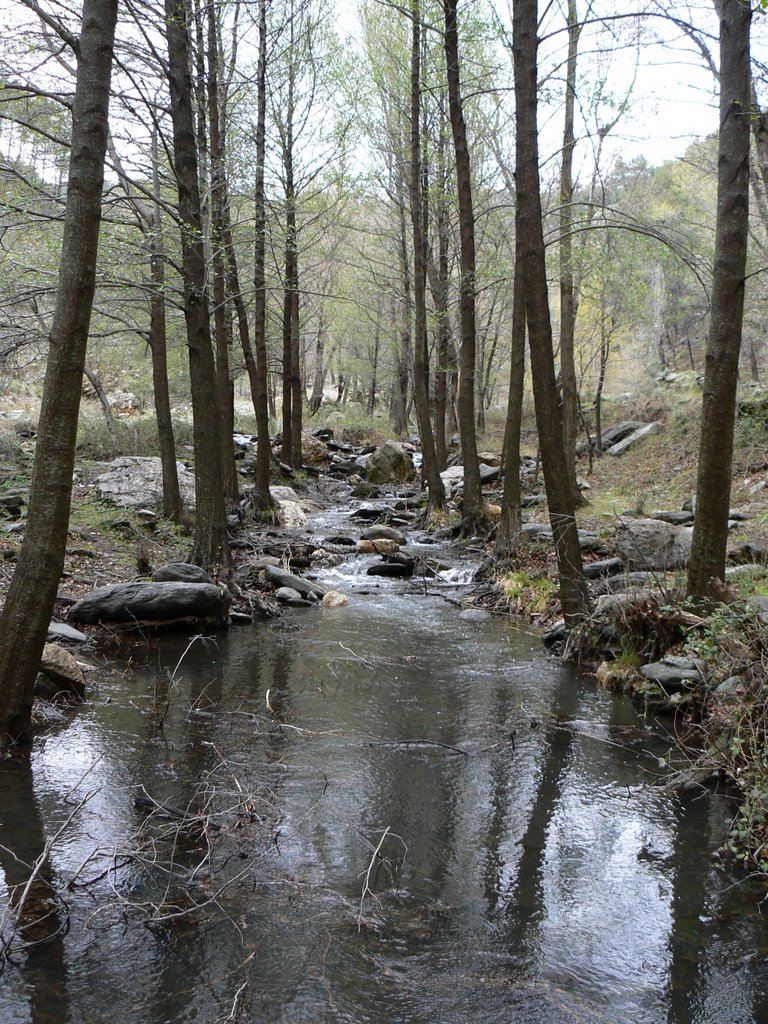 Río Andarax, 2º puente by Minerva González