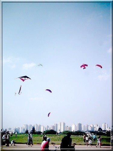 KITES NO PARQUE I by bellapipa