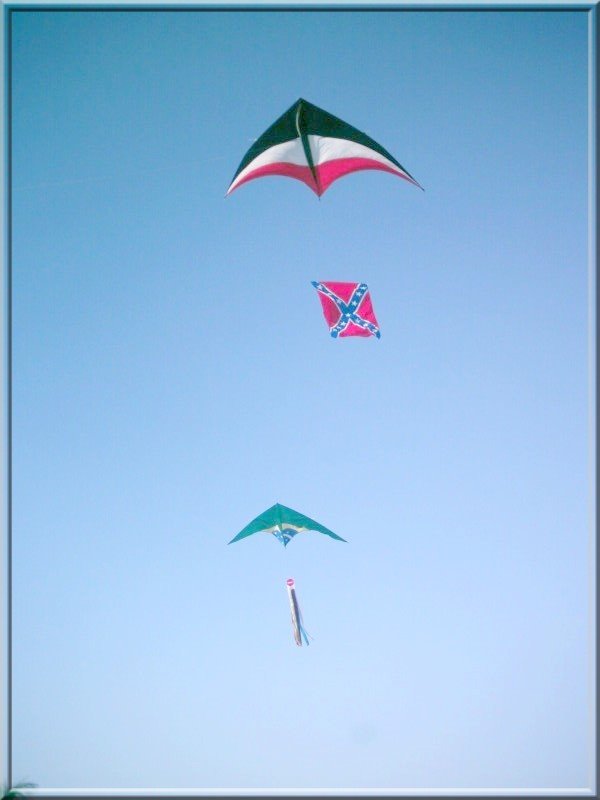 KITES DELTA GIGANTES by bellapipa