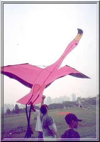 KITE MODELO FLAMINGO by bellapipa