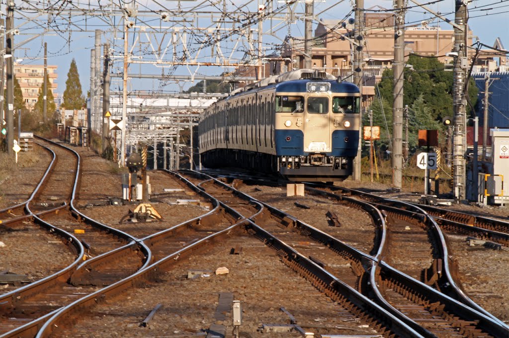 夕方の高尾駅にて(At Takao sta. in evening) by Tomo Satoshy