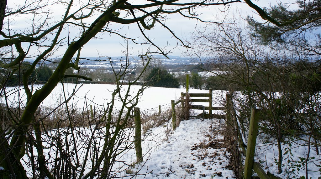 Footpath towards Sugar Lane by Dennis Neill