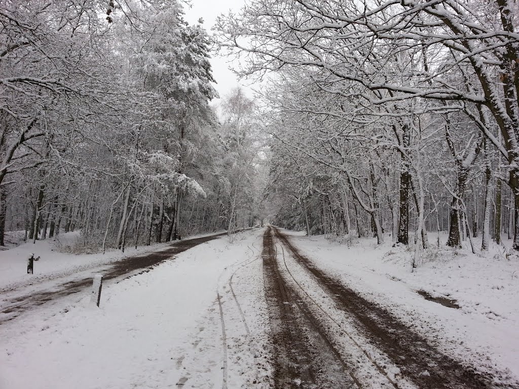 Snow at Meeuwven 07-12-12 by koen schenke