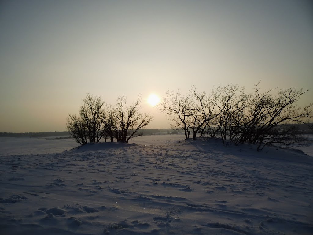 Drunense Duinen in snow 22-01-2013 by koen schenke