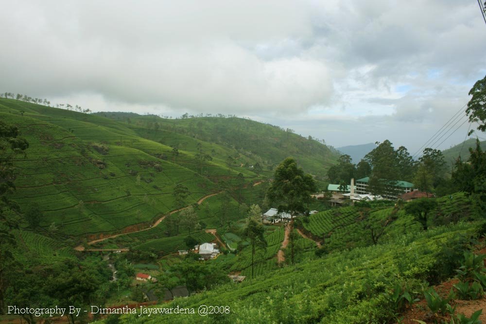 Nuwara Eliya, Sri Lanka by Dimantha