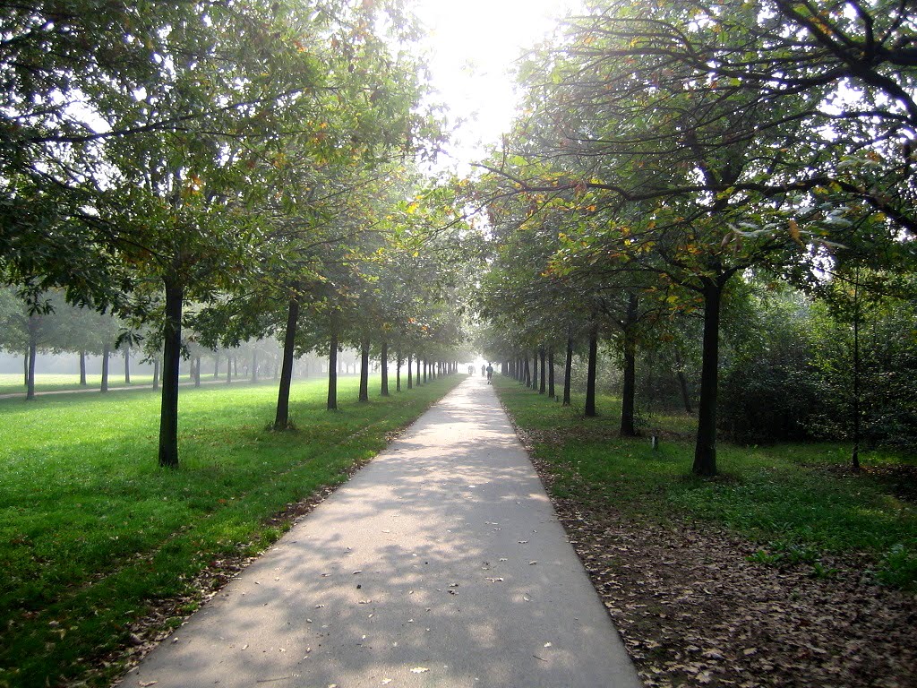 Il lungo viale by Renato Aldo Ferri