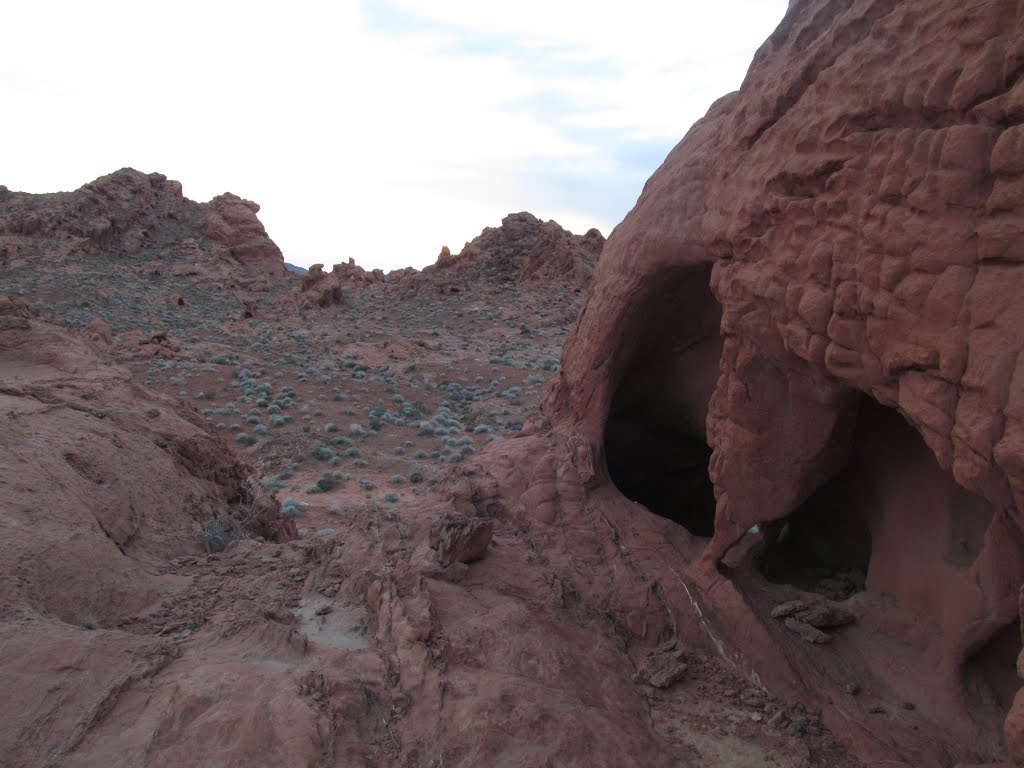 Red Cliffs And Evening Tranquility At Valley Of Fire State Park Near Las Vegas Jan '13 by David Cure-Hryciuk