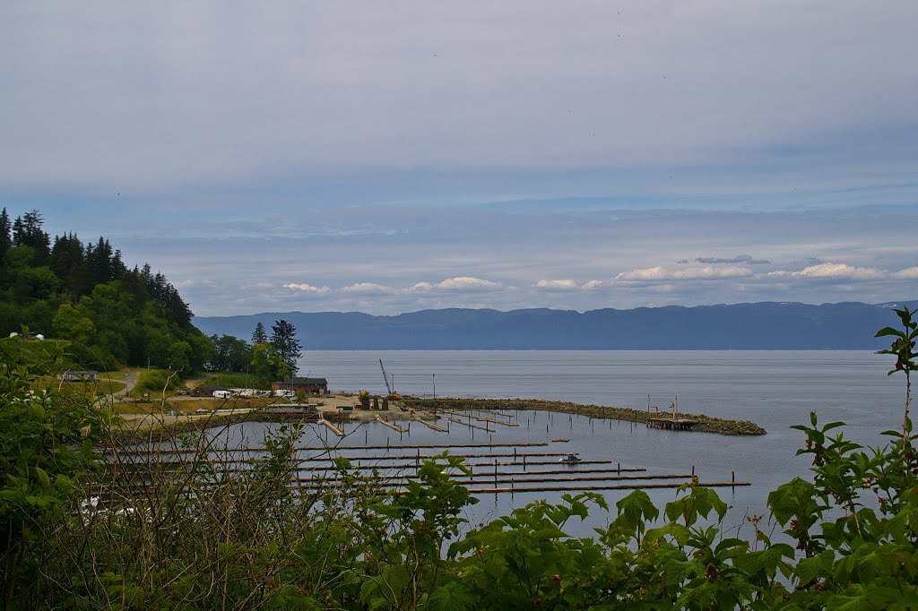 Sekiu, Strait of Juan de Fuca by Rumiana Koynova-Tenchova