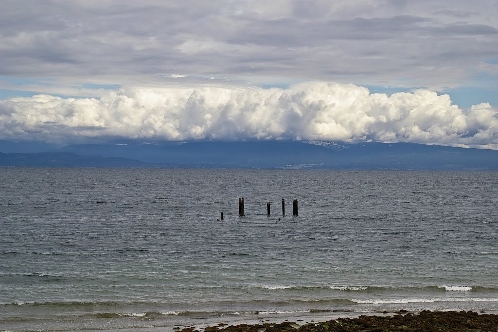 Qualicum Beach by Rumiana Koynova-Tenchova