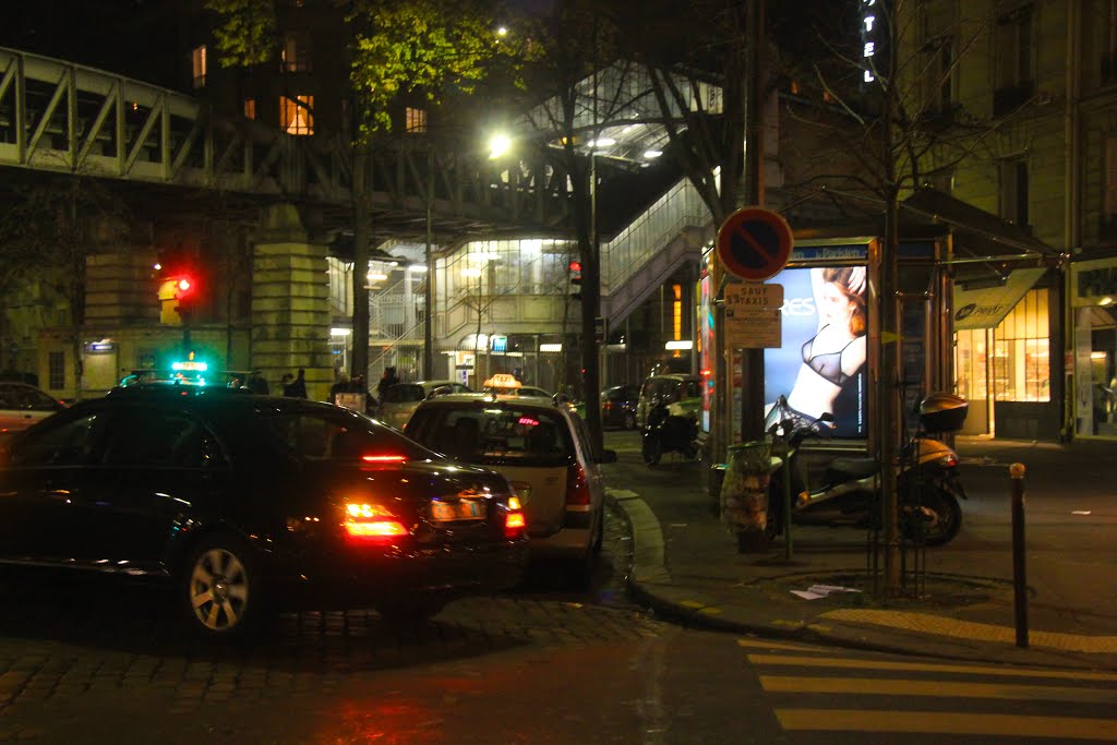 Metro above Blvd. Garibaldi, Paris, France by MICHAEL  JIROCH  &  www.michaeljiroch.com