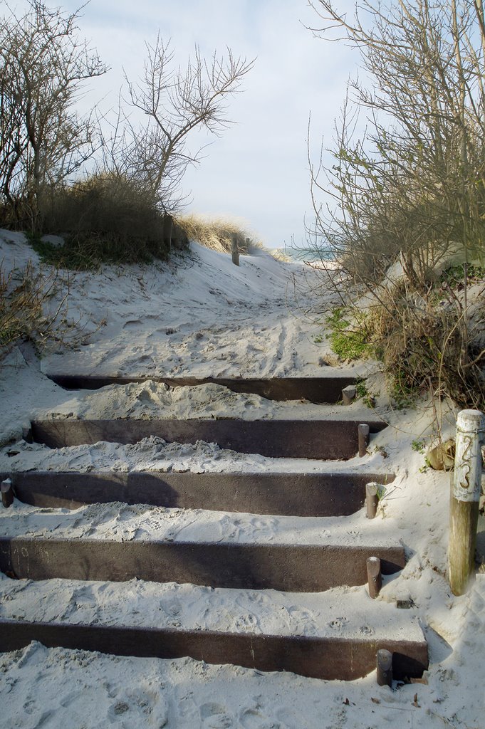 Way to the beach by Sabine aus Rostock