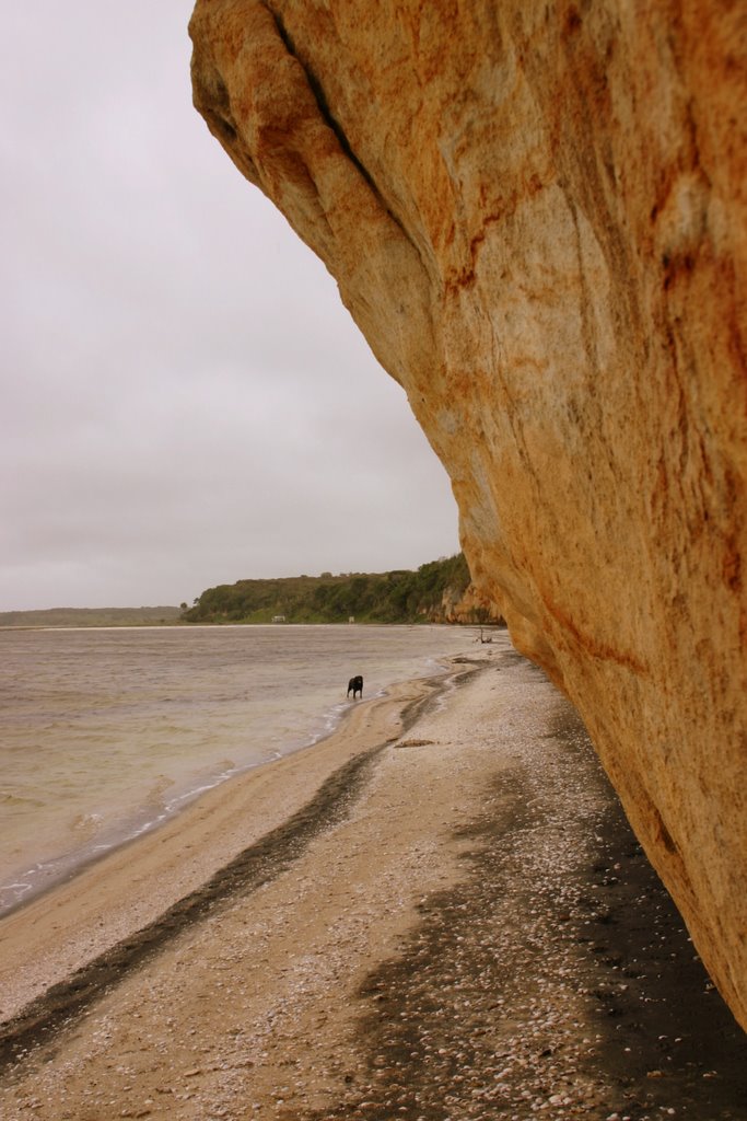 Sandstone Cliff, Te Whanga Lagoon by Tony Reid