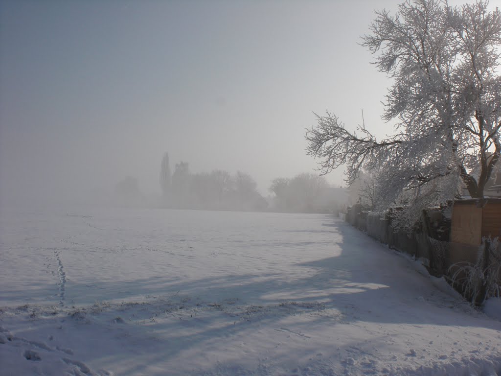 Hallerburg, Blick übers Feld im Januar by Calenberger