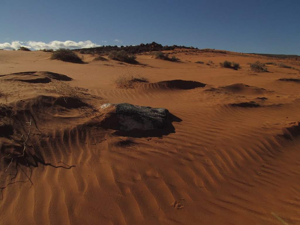 Textured, Rippled Desert Sands Under Blue Skies At Sand Hollow State Park Utah Jan '13 by David Cure-Hryciuk