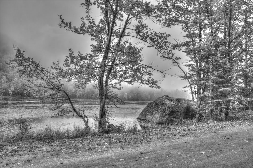 Fog over Hershey's (Little) Pond tonemapped black and white by jpphotos