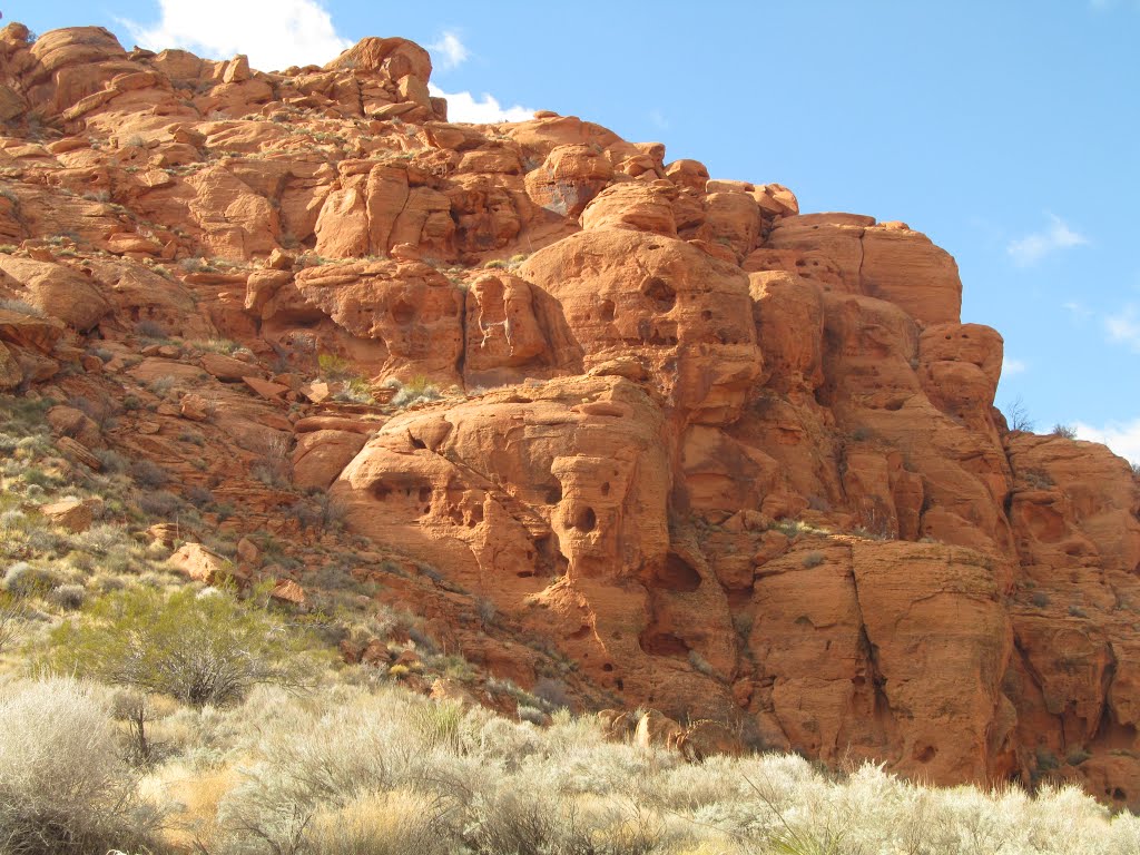 Rugged Red Rock Walls In Snow Canyon State Park Utah Jan '13 by David Cure-Hryciuk