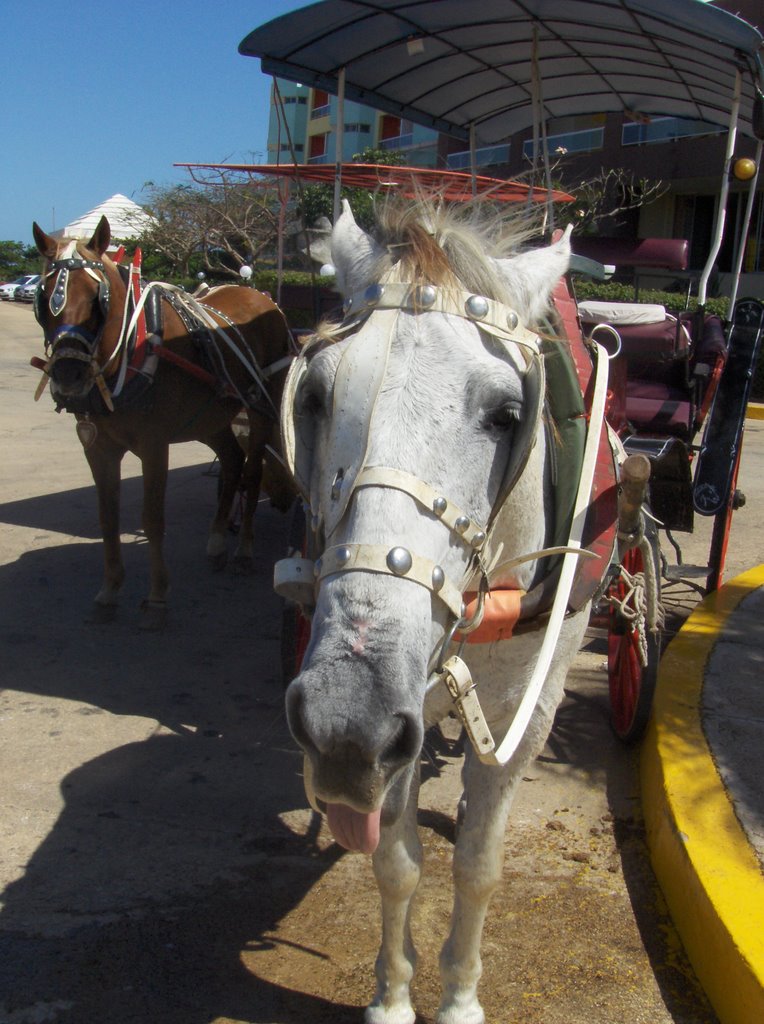 Varadero, Cuba by Land Edward Rhindres…