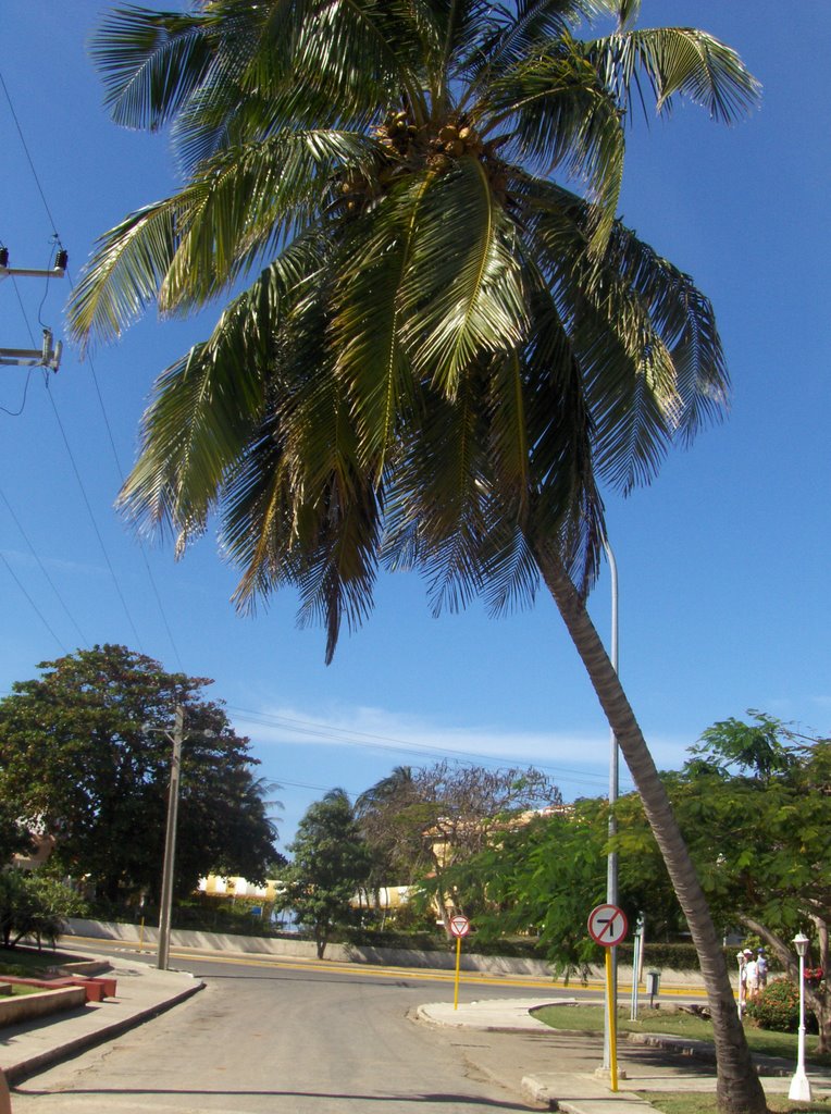 Varadero, Cuba by Land Edward Rhindres…